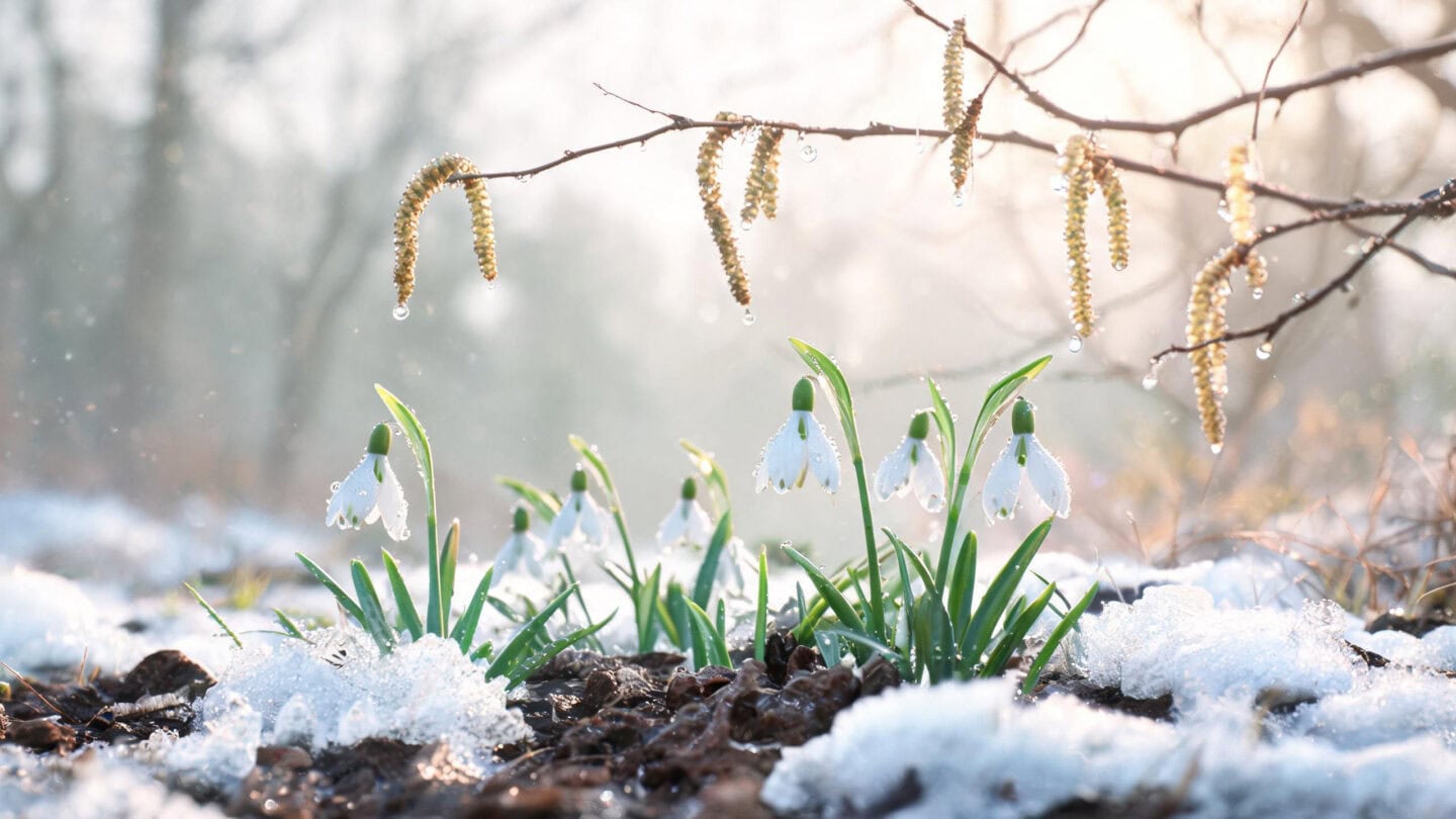 Jahreskreisfeste – Imbolc